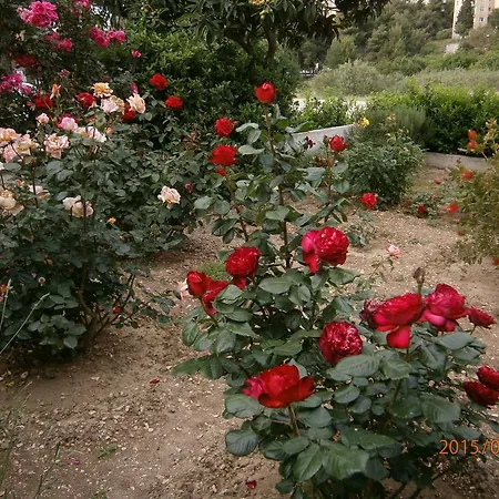 Bioci Maison d'hôtes Šibenik