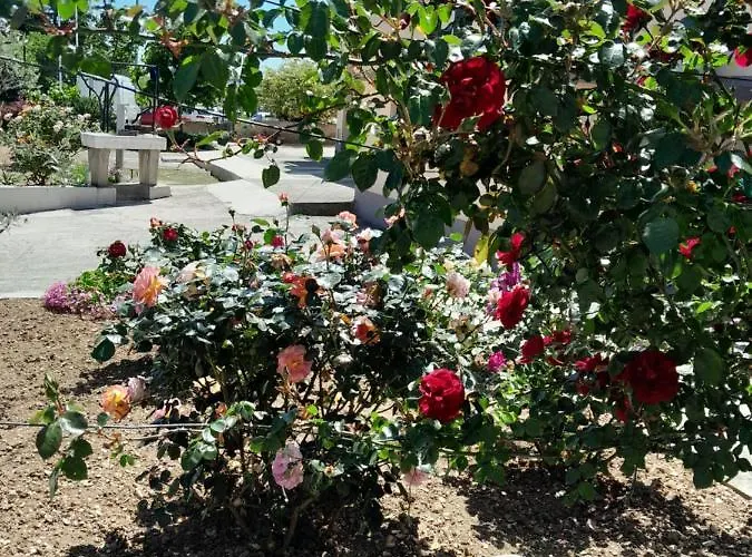 Maison d'hôtes Bioci