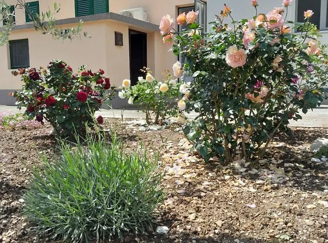 Bioci Шибеник