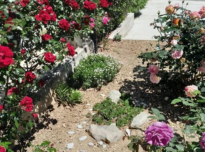 Bioci Шибеник