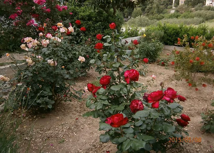 Bioci Гостевой дом Шибеник